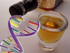 genes-and-alcohol-glendale-dui.jpg